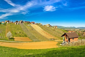 A vineyard with rows of grapevines, a small brick building, and houses on a hillside. - Chalet Birchwood With Hot Tub and Sauna (Breznički Hum)