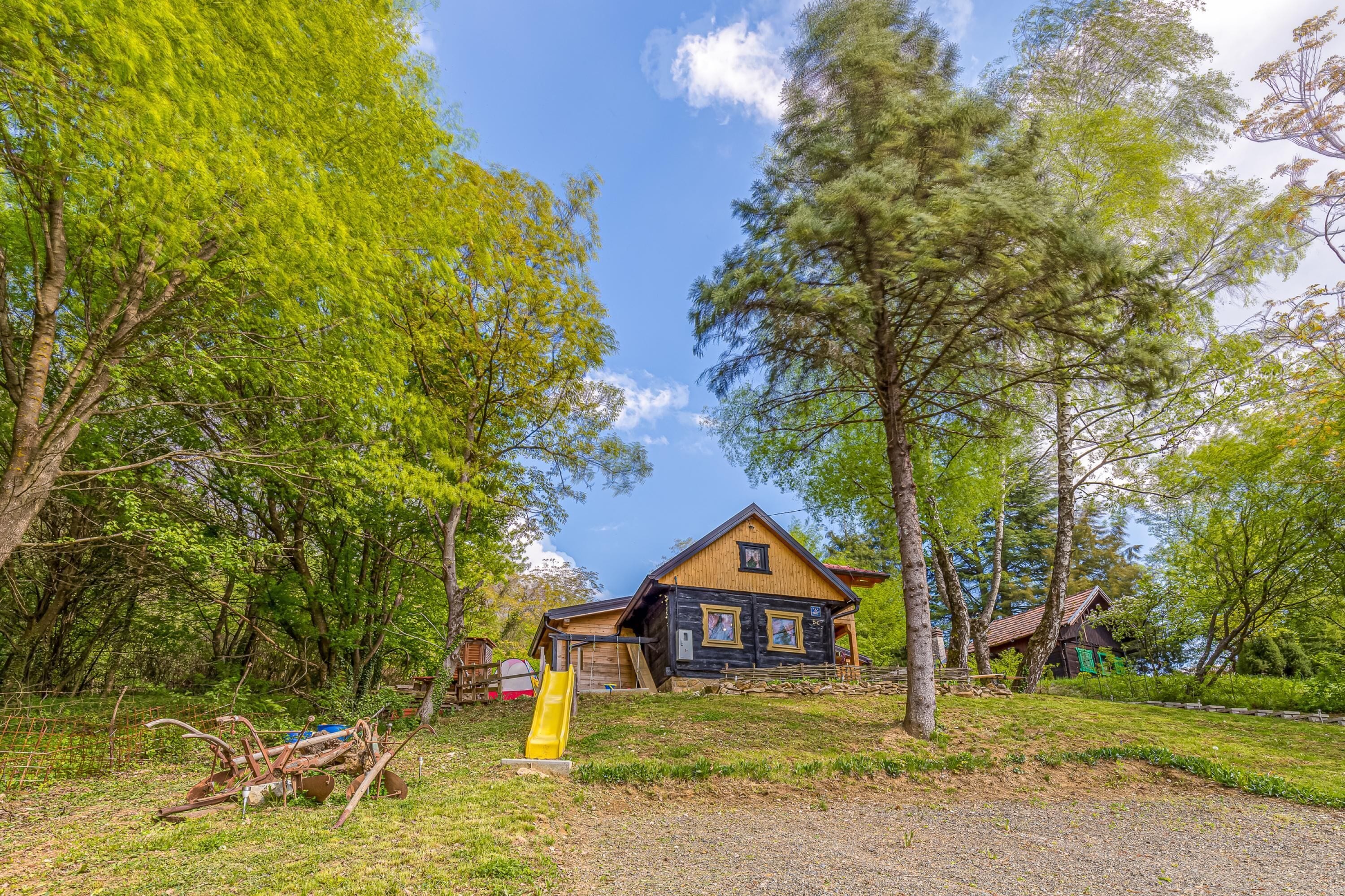 家庭單棟房屋, 多間臥室, 山旁 (Chalet Birchwood With Whirlpool and) | 外觀
