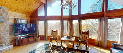 Smart TV, chimenea, reproductor de DVD y libros