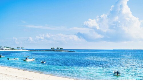 1 night  3 dense avoidance Luxury cottage to  / Kunigami-gun Okinawa