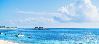 1 night  3 dense avoidance Luxury cottage to  / Kunigami-gun Okinawa