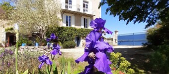 Le clos de la Salamandre