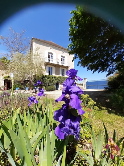 Le clos de la Salamandre