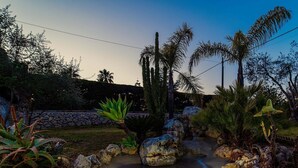 A garden with a pond, rocks, and various plants. - Villa Clara – Country Retreat (Siracusa)