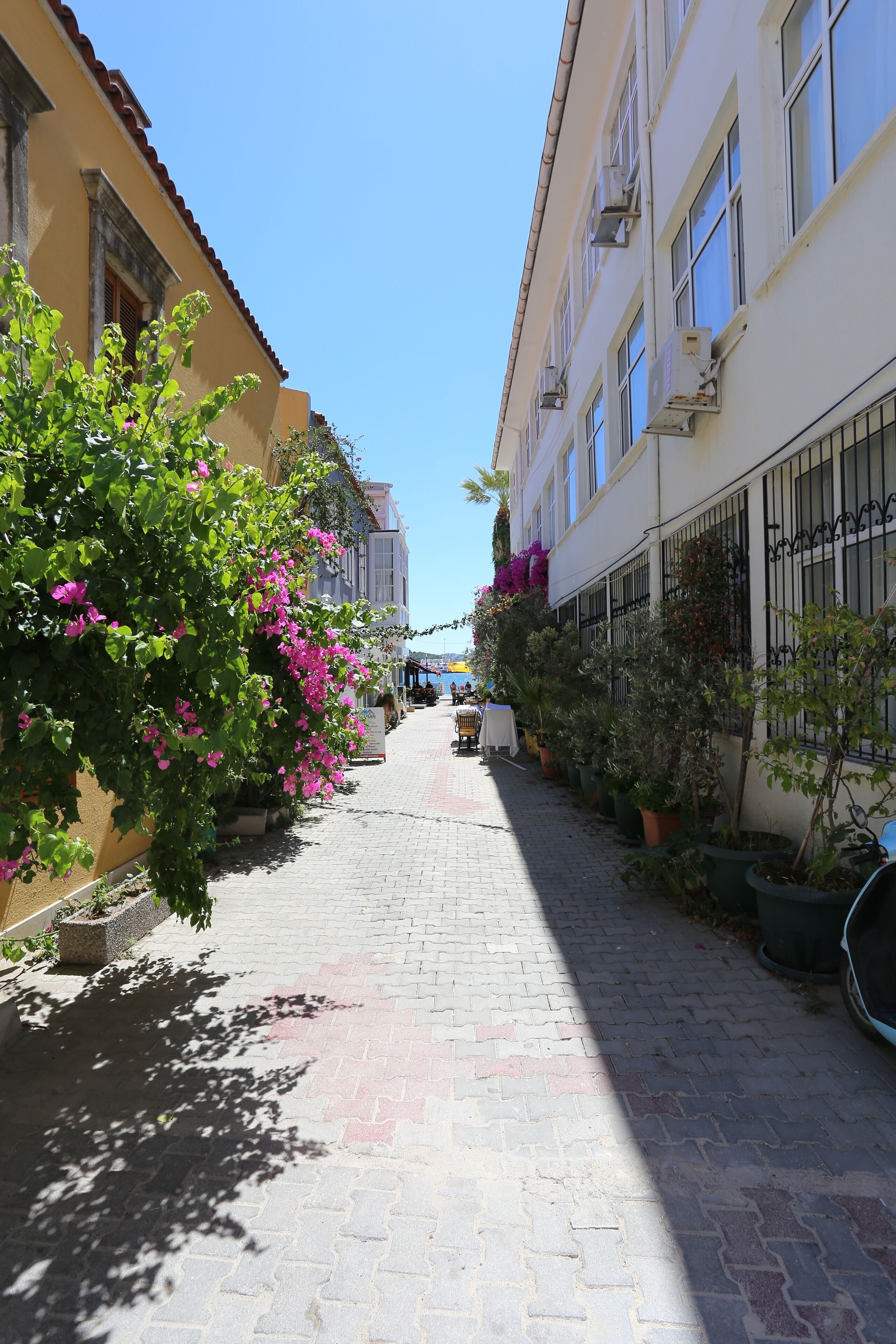 A narrow street with buildings on either side, potted plants, and a clear blue sky.