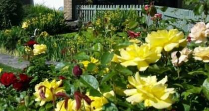 Perfect 2 bedroom pet-friendly family holiday home at Hawthorn Farm, Kent