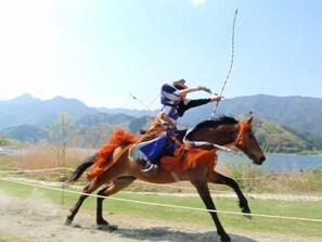 Eine Person reitet ein Pferd mit Geschirr, im Hintergrund eine gebirgige Landschaft.
