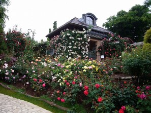 Ein Haus, umgeben von einem Garten mit verschiedenen blühenden Pflanzen.