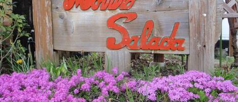 تفاصيل الفندق من الخارج