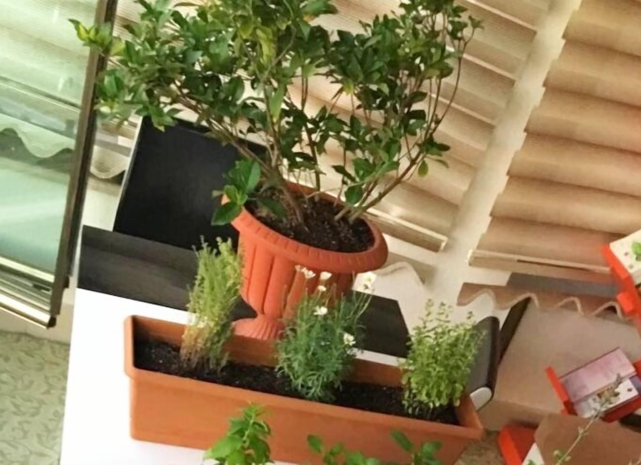 150-inch plasma tv with satellite channels, tv