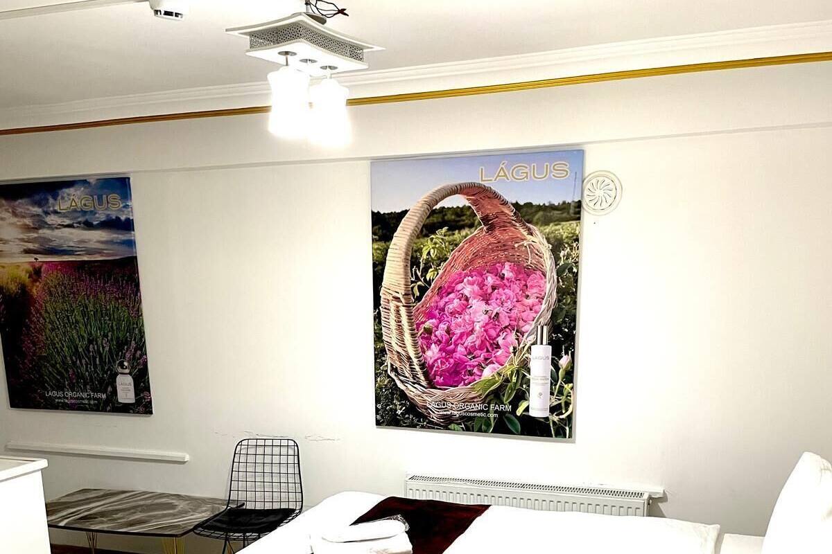 Habitación económica | 1 habitación, escritorio, wifi gratis y ropa de cama