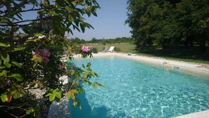 Ein klares Schwimmbecken, umgeben von viel Grün und einigen Liegestühlen.