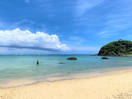 Beach. Amami Oshima Fully chartered cottage doubledec / Amami Kagoshima