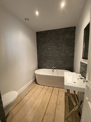 Bathtub, hair dryer, towels, toilet paper