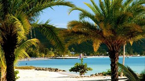 Une plage bordée de palmiers, avec une eau d’un bleu limpide et un rivage rocheux.
