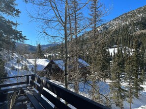 Property grounds - Cozy Cabin (Red River)