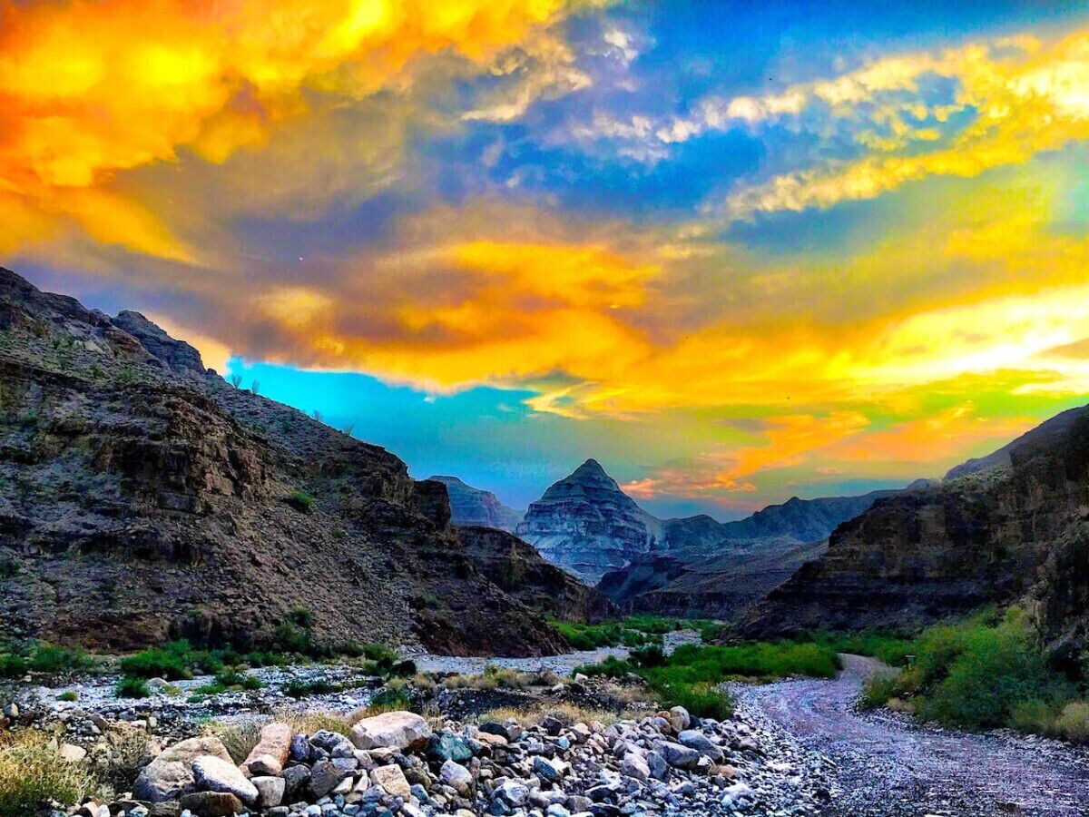 オーナーのプロフィール画像