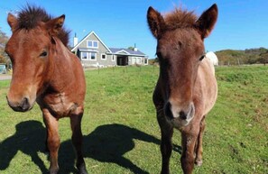 المنطقة المحيطة بالمنشأة