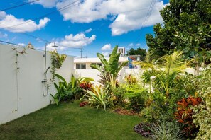 A lush garden with various plants and a white wall.