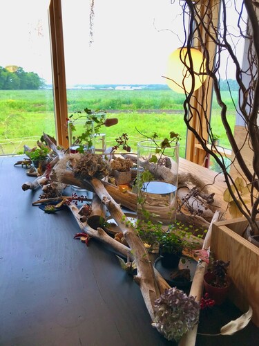 An inn where you can spend time surrounded by the  - Ezo Shiba / Chitose Hokkaidō