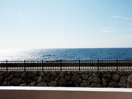 Property grounds. Twin room Ocean view nonsmoking / Nakagami-gun Okinawa