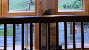 A wooden cabin interior with a stone fireplace, large windows, and a wooden ceiling. - Spacious cabin in Angel Fire area - 6 miles to ski slopes and recreation area (Angel Fire)