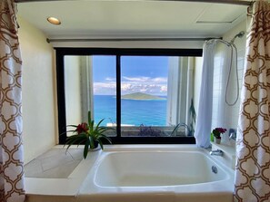 Combined shower/bathtub, hair dryer, towels, soap