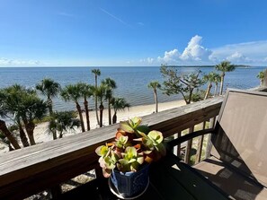 Ein Balkon mit Meerblick, eine Holzterrasse und ein Blumentopf.