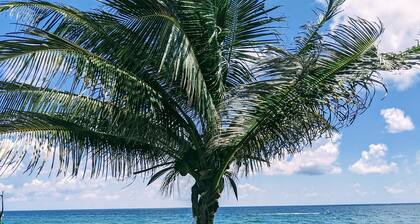 Modern Beach House, Private Screened-in Pool, close to Beach & Restaurants