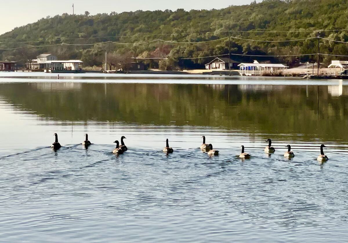 Ein ruhiger See mit schwimmenden Enten, umgeben von einer hügeligen Landschaft und Gebäuden im Hintergrund.