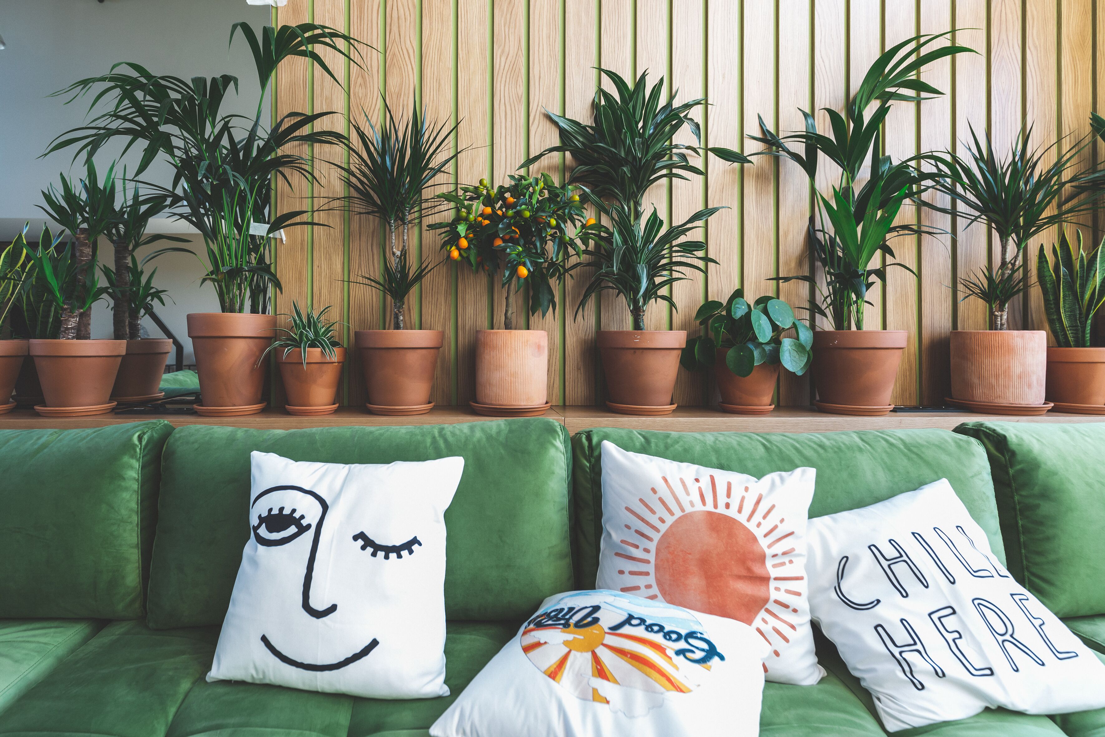 Un sofá verde con almohadones decorativos y una fila de macetas contra una pared de madera.