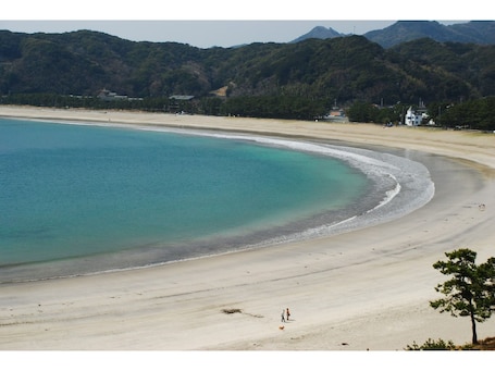 Beach. Chartered building rental villa log house / Kamo-gun Shizuoka