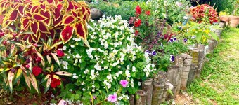 Iron cottage Rent a whole / Nago Okinawa