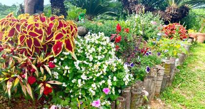 Iron cottage Rent a whole / Nago Okinawa