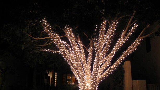 A tree illuminated with lights, surrounded by a landscaped area with a building in the background. - South Mountain Sanctuary-backyard privacy- -cul-de-sac- pool-STR2024003324 (Phoenix)