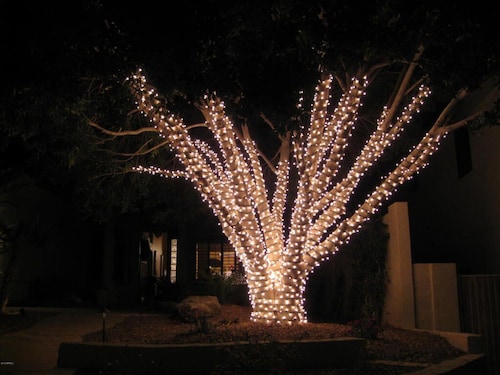 South Mountain Sanctuary-backyard privacy- -cul-de-sac- pool-STR2024003324