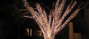 South Mountain Sanctuary-backyard privacy- -cul-de-sac- pool-STR2024003324