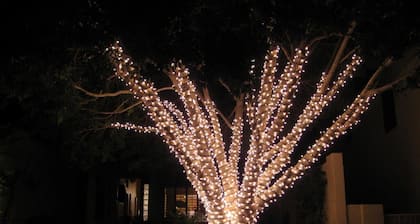 South Mountain Sanctuary-backyard privacy- -cul-de-sac- pool-STR2024003324