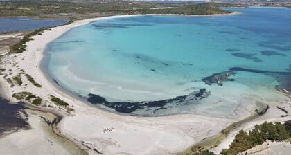 Living room with kitchenette and double or twin sofa bed, double bedroom, bathroom with shower.<br>Located on the ground floor with garden or first floor with large terrace equipped with table and chairs.<br>Well furnished, many with splendid panoramic v