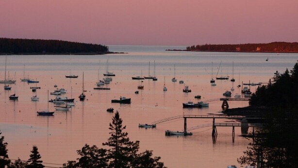 A harbor with numerous boats, calm water, and a forested shoreline.
