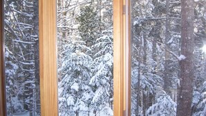 A window with a view of a snowy forest.