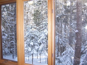 Una ventana con vista a un bosque nevado.