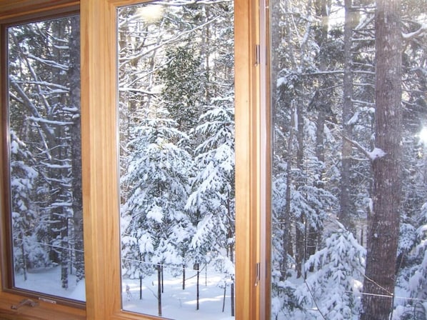 A window with a view of a snowy forest.