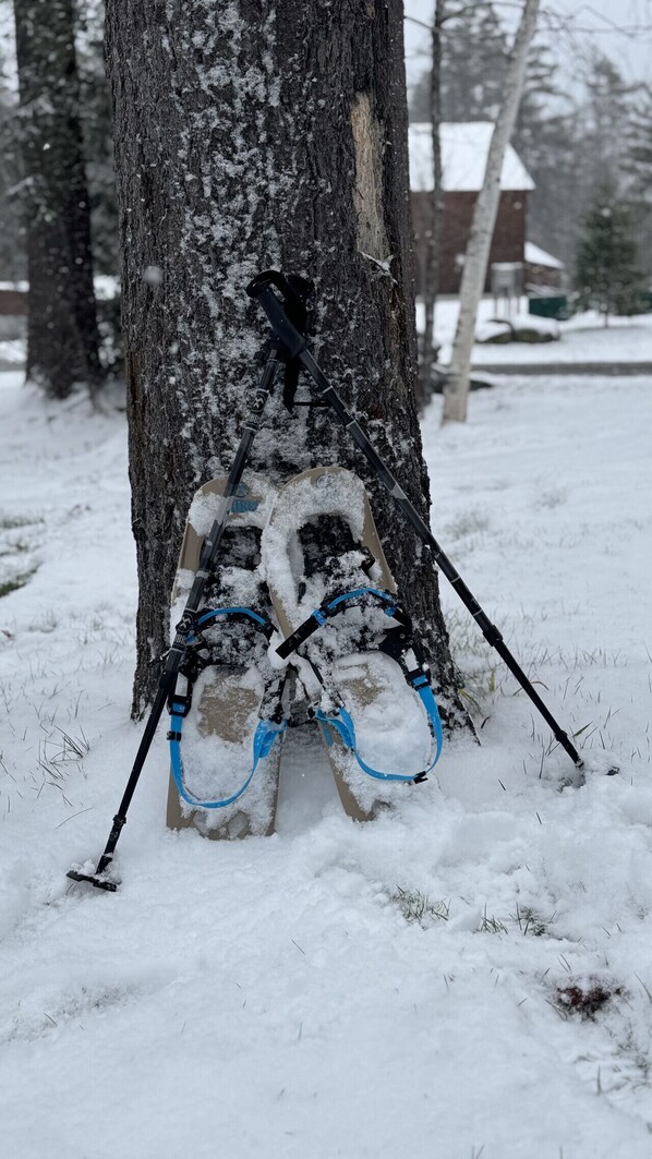 A tree with snow-covered branches and a pair of skis strapped to its base.