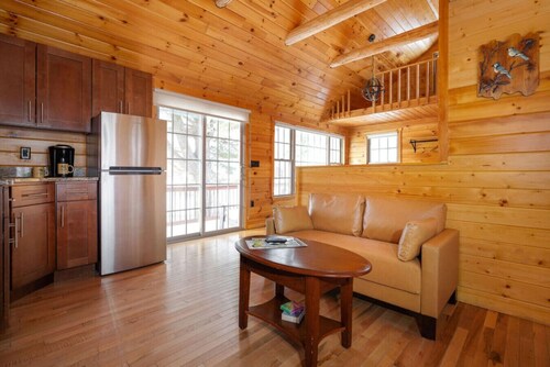 Chestnut Studio #12 - Cozy Lakefront Cabin Retreat