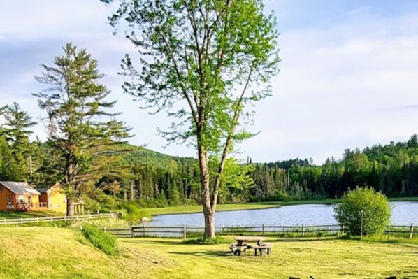 Parco della struttura