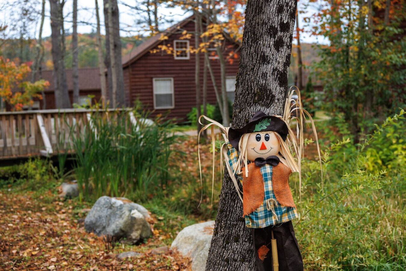 A rustic cabin with a wooden exterior and a window, surrounded by a natural landscape with trees and a wooden deck.