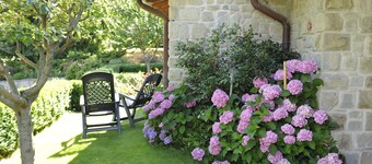 Borgo Caiano in Casentino Tuscany-apartments-typical dishes-large park-pool