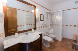 Shower, hair dryer, bidet, towels