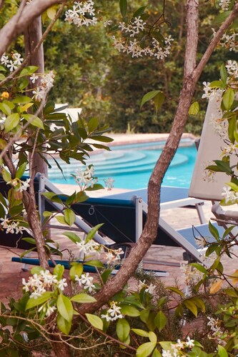 Podere Maraviglia, a 16th Century Olive Oil Farm Fully immersed in Nature